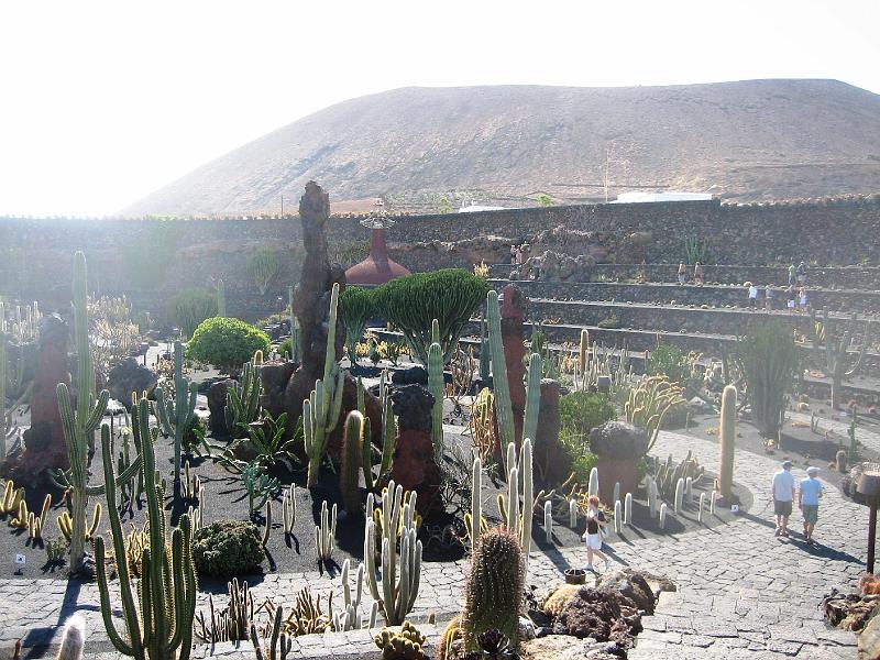 IMG_1518.JPG - Jardín de Cactus