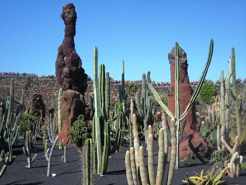 IMG_1527.JPG - Jardín de Cactus