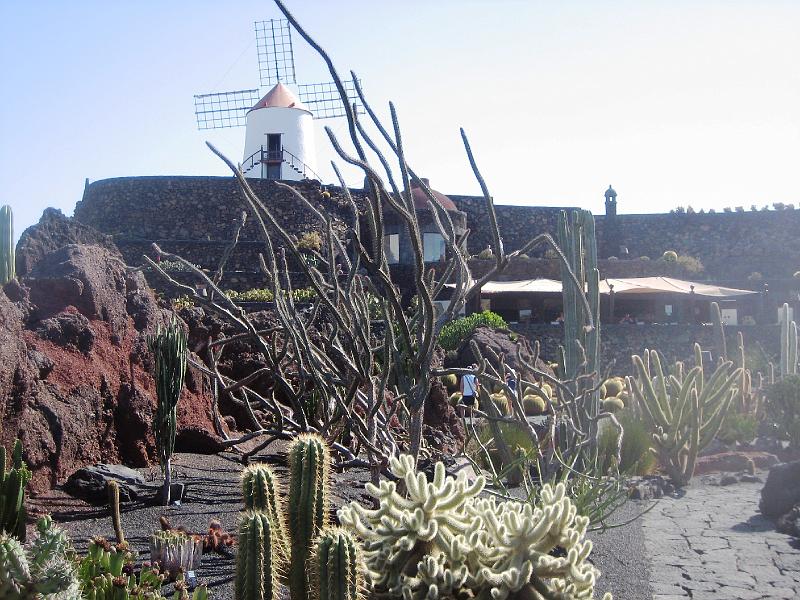 IMG_1528.JPG - Jardín de Cactus