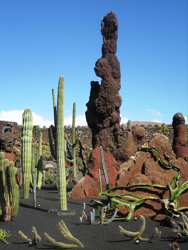 IMG_1529.JPG - Jardín de Cactus
