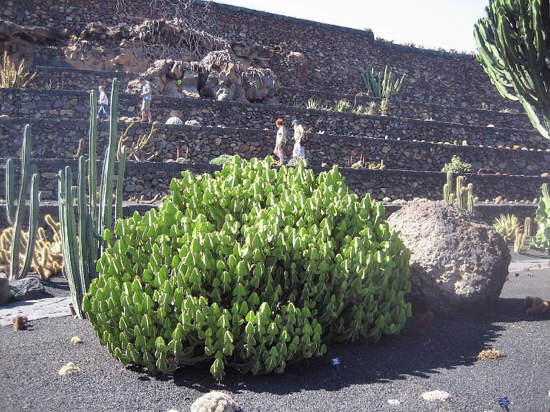 IMG_1531.JPG - Jardín de Cactus