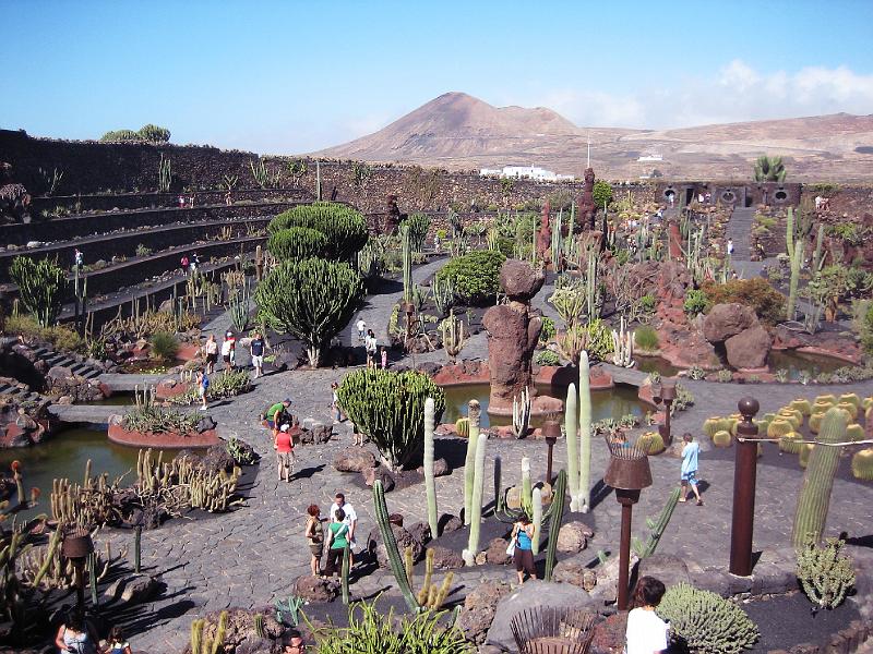 IMG_1540.JPG - Jardín de Cactus