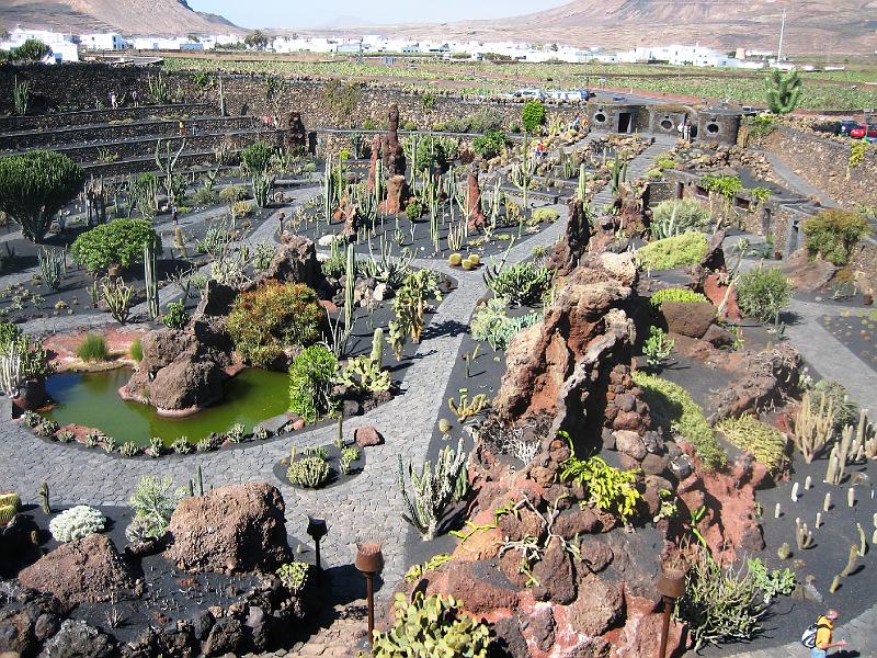 IMG_1548.JPG - Jardín de Cactus