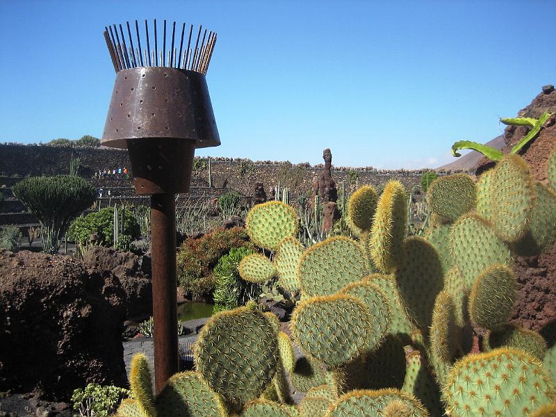 IMG_1553.JPG - Jardín de Cactus