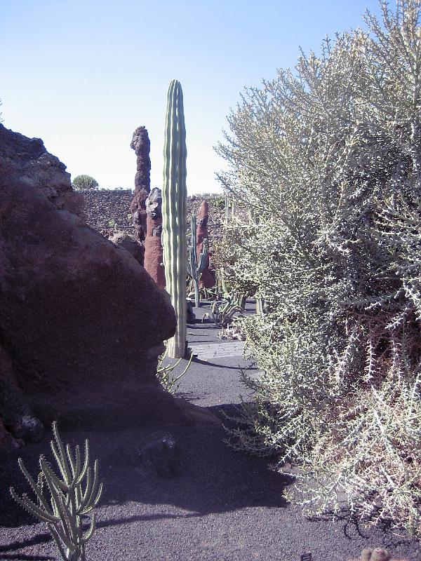 IMG_1555.JPG - Jardín de Cactus
