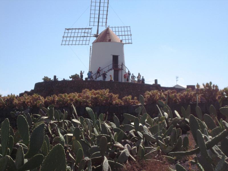 IMG_1562.JPG - Jardín de Cactus Mühle