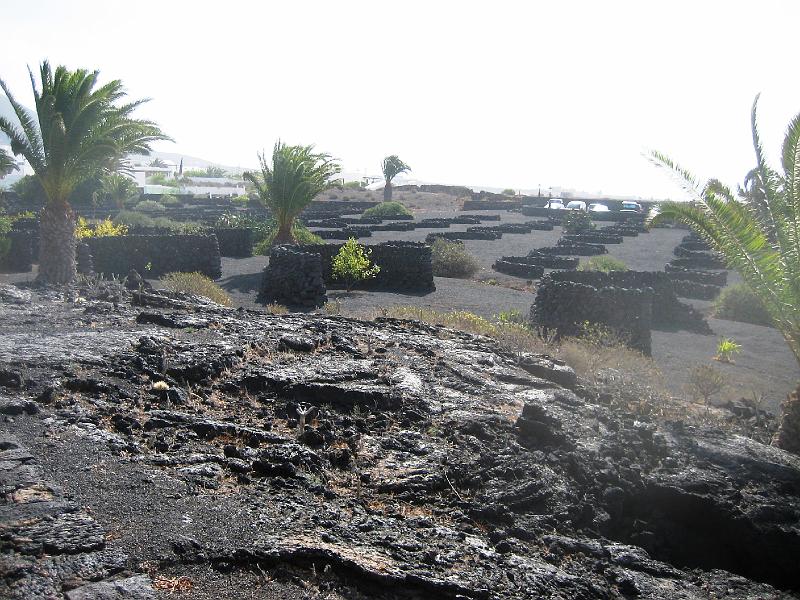 IMG_1584.JPG - Vorgarten César Manrique's