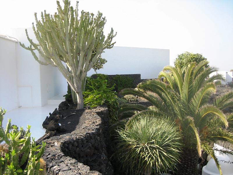 IMG_1601.JPG - César Manrique's Garten