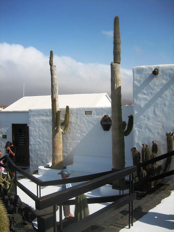 IMG_1602.JPG - César Manrique's Garten