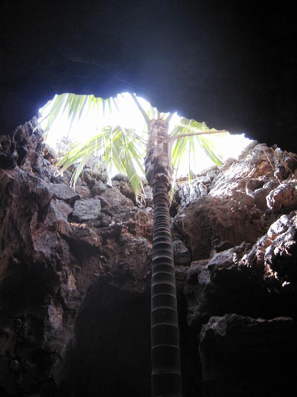 IMG_1618.JPG - César Manrique's Wohnzimmer 1