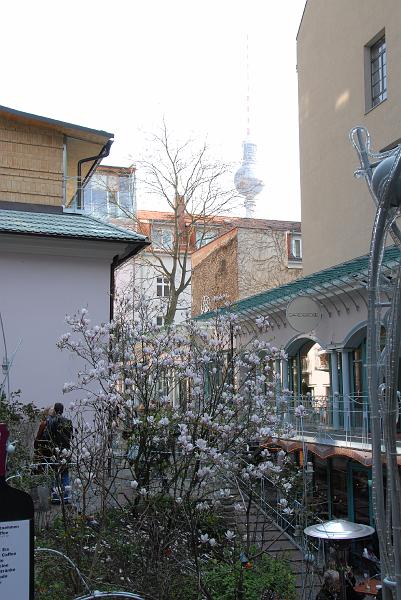 DSC_1541.JPG - (C) Thorsten Ohmacht